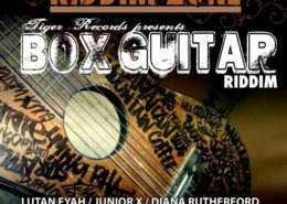 Box Guitar Riddim