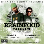 Brainfood Riddim – Straight Sound