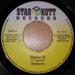 Brainless Riddim – Star Kutt Records