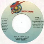 Braveheart Riddim – Techniques Records