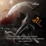 Broken Wings Riddim – J1 Records