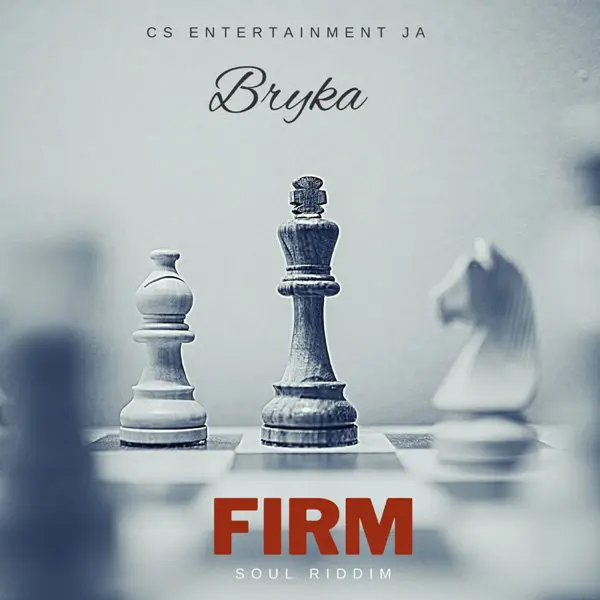 bryka - firm