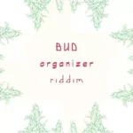 Bud Organizer Riddim – Rising Time Label