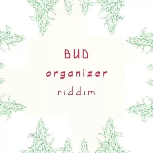 bud organizer riddim - rising time label