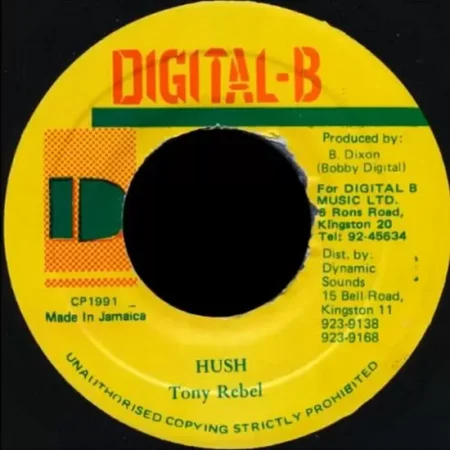 bully beef riddim - digital b