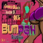 Bumpa Riddim (2016) – Yellow Moon Records