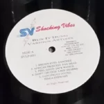Bun It Dung Riddim – Shocking Vibes