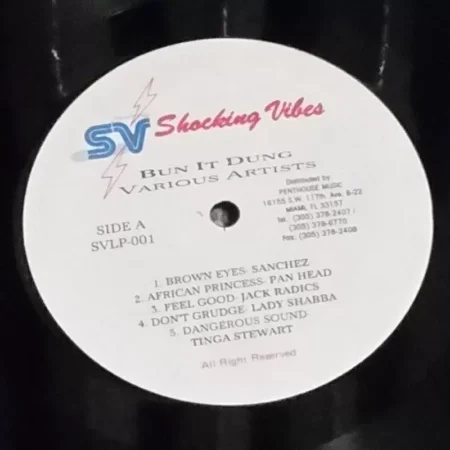 bun it dung riddim - shocking vibes