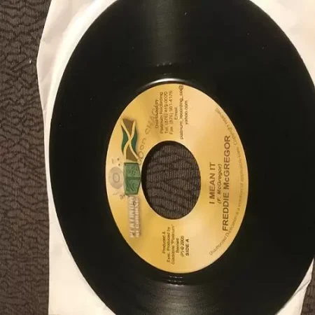 bundle riddim - platinum recording