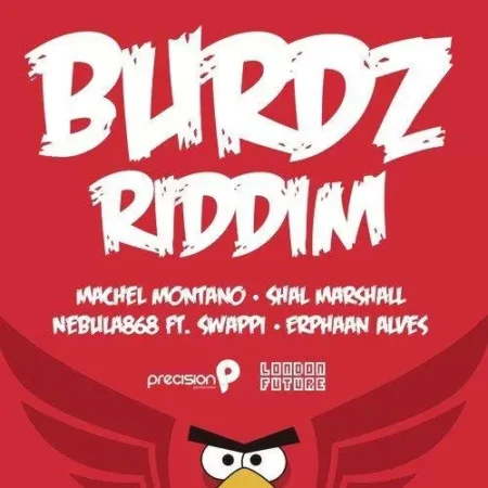 burdz riddim - precision records