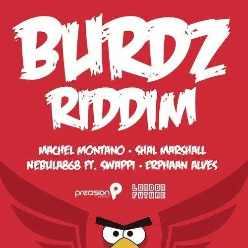 burdz riddim - precision records