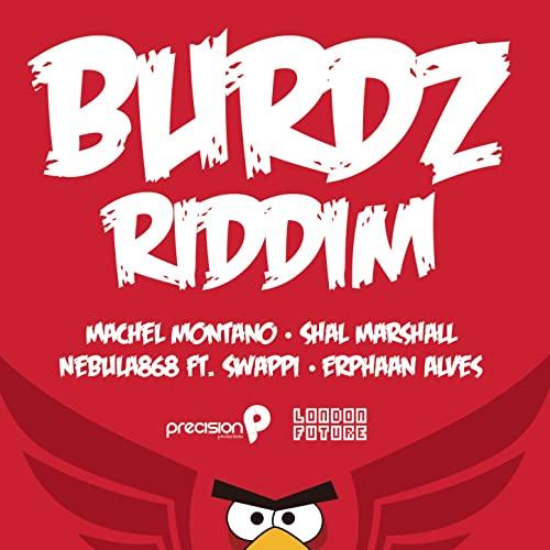 burdz riddim - precision productions