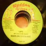 Bus Dem Down (more) – Reggae Vibes