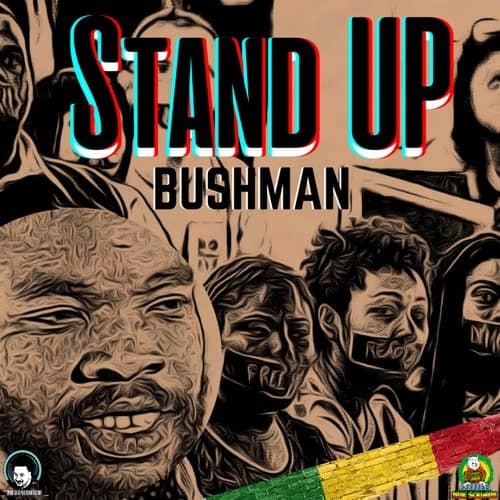 bushman stand up
