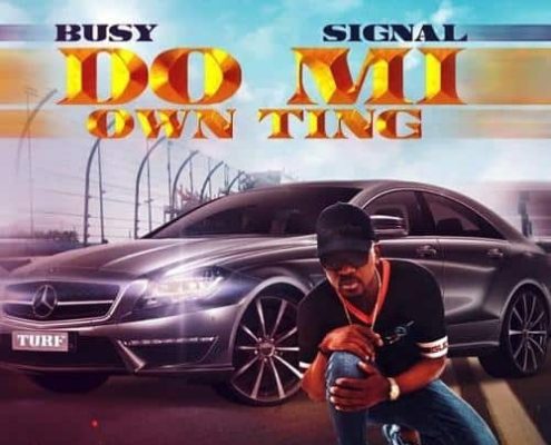 Busy Signal Do Mi Own Ting