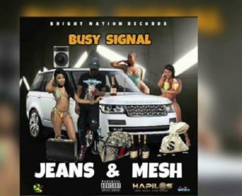 Busy Signal Jeans Mesh