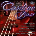 Cardiac Bass Riddim – Cr2o3