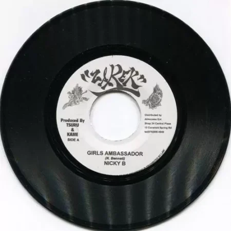 casta riddim - zarek records