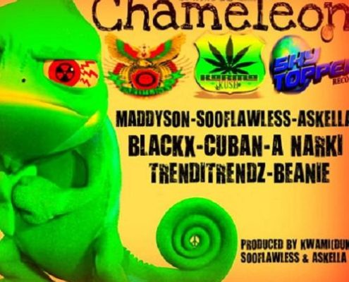 Chameleon Riddim