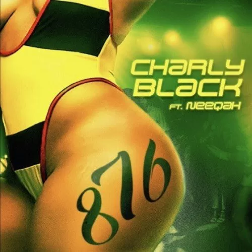 charly black, neeqah - 876