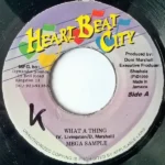 Chi Chi Wei Riddim – Heartbeat City