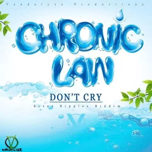 chronic law - dont cry
