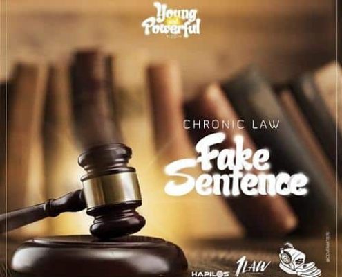 Chronic Law Fake Sentence