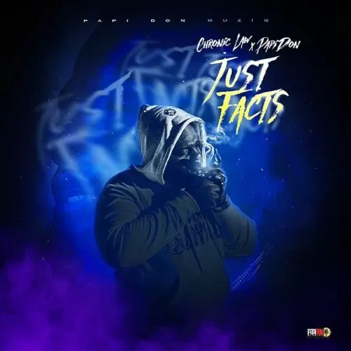 chronic law ft. papi don - just facts