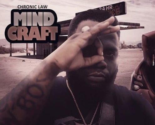Chronic Law Mind Craft