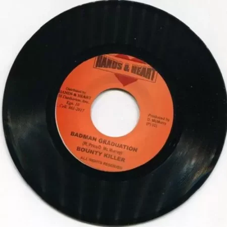 chronic riddim - hands and heart