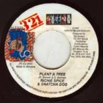 City Live Riddim – 321 String