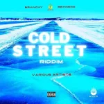Cold Street Riddim – Branchy Records