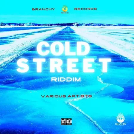 Cold Street Riddim - Branchy Records