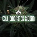 Collie Monster Riddim – Food Palace Music