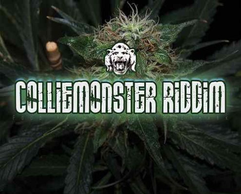 Collie Monster Riddim