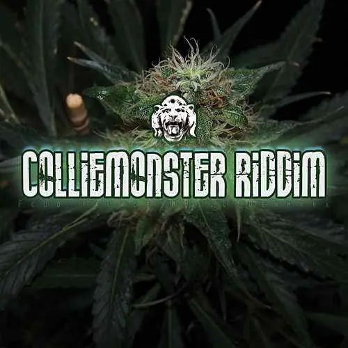 collie monster riddim - food palace music