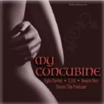 Concubine Riddim 2021 – B-Rich Records