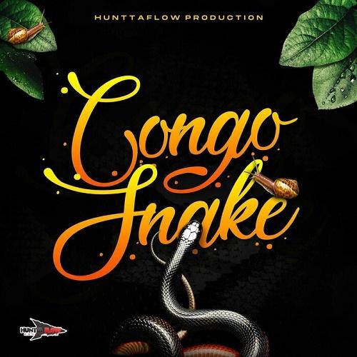 congo snake riddim - huntta flow production