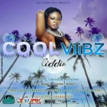 Cool Viibz Riddim – Silver Sun Music