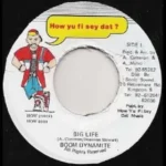 Cool Water Riddim – How Yu Fi Sey Dat