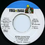 Count Bassie Riddim – Vibes House