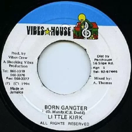 count bassie riddim - vibes house