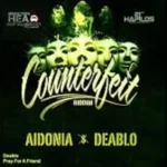 Counterfeit Riddim (2012) – Brixton Head Concussion Records