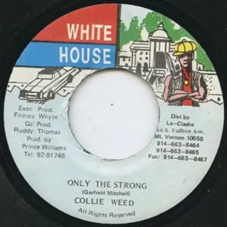 court case riddim - whitehouse