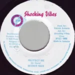 Craze Riddim (1998) – Shocking Vibes