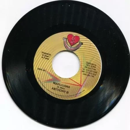 crazy babylon riddim - true born