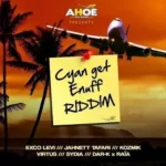 Cyan Get Enuff Riddim – Ahoe Records
