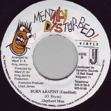 da joint riddim - mentally disturbed