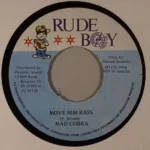 Damsel Pandimonium Riddim – Rude Boy/Shocking Vibes