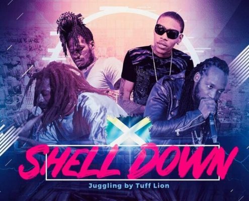 Dancehall Mixtape 2019 Shell Down